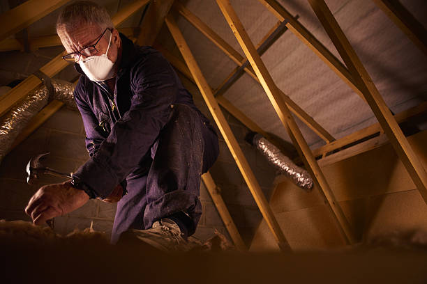 Best Insulation Maintenance and Repair in Tacoma, WA